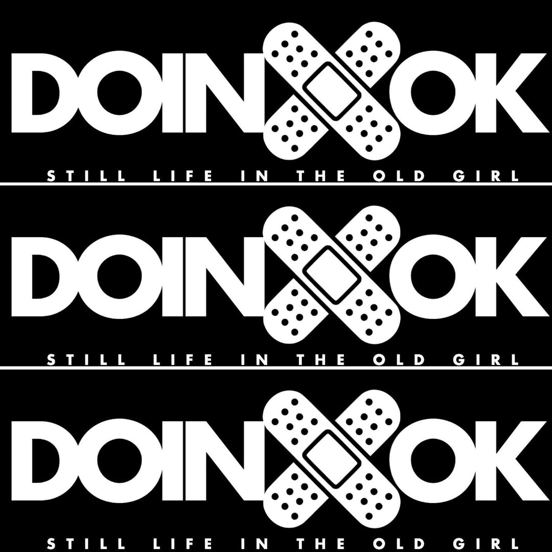 Doin ok (𝙉𝙤𝙞𝙧 𝙗𝙖𝙘𝙠𝙜𝙧𝙤𝙪𝙣𝙙) Decal - Strictly Static